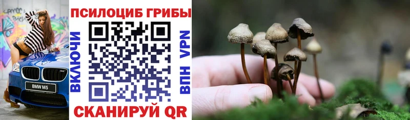 Галлюциногенные грибы ЛСД  блэк спрут рабочий сайт  маркетплейс наркотические препараты  Невьянск 