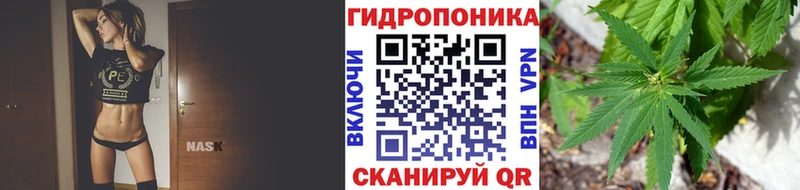 Конопля THC 21% купить Невьянск
